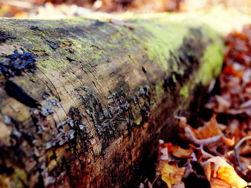 sudoku row column box screenshot 1